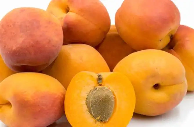 Apricots, Kiwi, Peaches, Mangoes