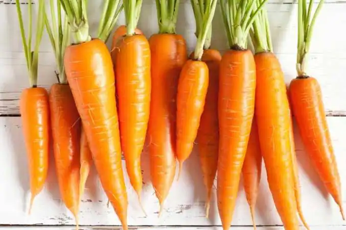 Carrots